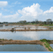 Odisha inland saline shrimp farming regulatory framework