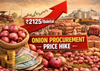 Onion procurement price
