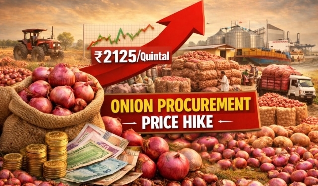 Onion procurement price