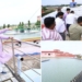 Rath Yatra drinking water arrangements