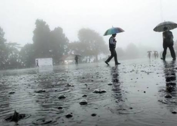 Odisha Weather: Rain Likely to Affect Bahuda Yatra as IMD Issues Yellow Alert for 20 Districts
