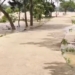 North Odisha flood alert