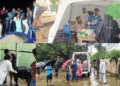 Odisha flood animal protection