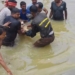Malkangiri crocodile rescue