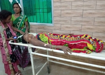 Car Hits Elderly Woman