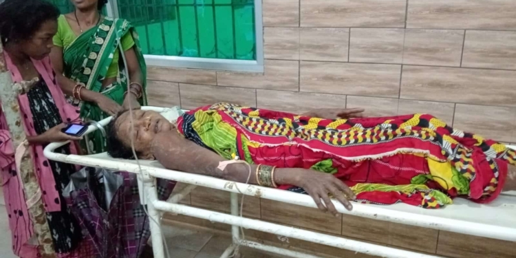 Car Hits Elderly Woman
