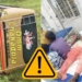 Midnight Terror: 40 Injured as Bhubaneswar-Bound Bus Plunges 20 Feet Off Nayagarh Bypass