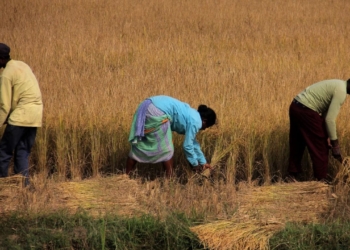 Rural body grants
