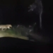 leopards spotted in Sunabeda Sanctuary