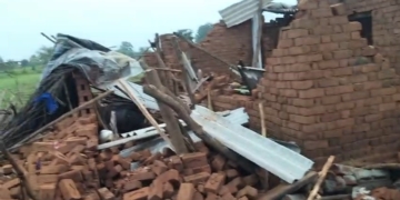 Elephant Herd Destroys House in Balangir, Four Including 2 Children Injured