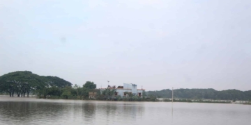 Odisha river water levels falling
