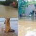 Subarnarekha flood Baleshwar