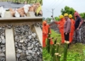 Baripada railway track damage