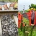 Baripada railway track damage