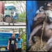 Cattle‑Laden Container Seized
