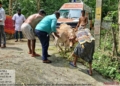 Animal Safety Takes Centre Stage as Odisha Battles Floods: 58 Rapid Response Teams and 245 Treatment Camps Pressed into Action