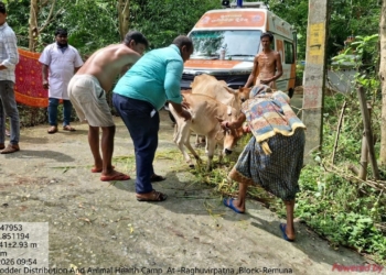Animal Safety Takes Centre Stage as Odisha Battles Floods: 58 Rapid Response Teams and 245 Treatment Camps Pressed into Action