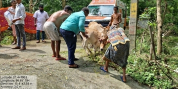 Animal Safety Takes Centre Stage as Odisha Battles Floods: 58 Rapid Response Teams and 245 Treatment Camps Pressed into Action