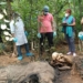Female Elephant Found Dead