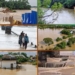Odisha flood situation update