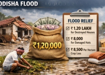 Odisha flood compensation package