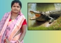 Crocodile Attack