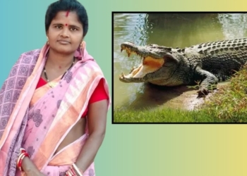 Crocodile Attack