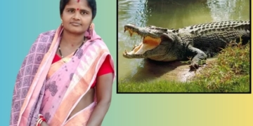 Crocodile Attack