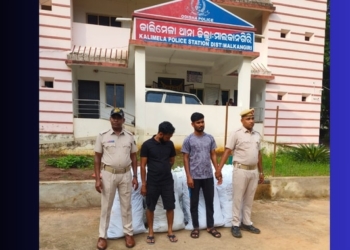 Ganja Seized