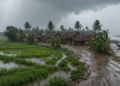 Odisha rain alert low pressure