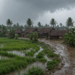 Odisha rain alert low pressure
