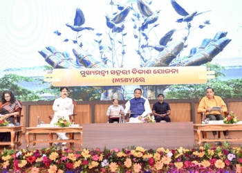 Odisha Local Self-Government Day urban projects