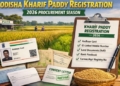 Odisha Kharif paddy procurement 2026