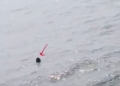 Paradip sea mouth rescue