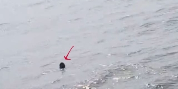 Paradip sea mouth rescue