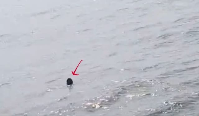 Paradip sea mouth rescue