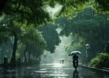 Odisha monsoon rainfall 2026