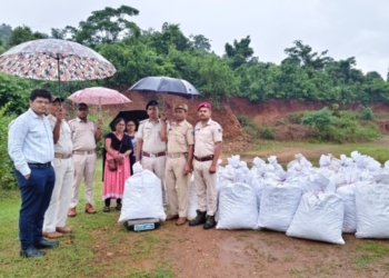 Kalimela ganja seizure