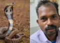 Youth Bites Cobra