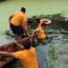 Tractor Overturns