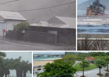 Typhoon Dolphin Japan China