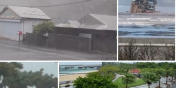 Typhoon Dolphin Japan China