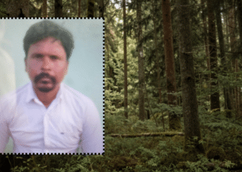Balangir wild boar electric trap death