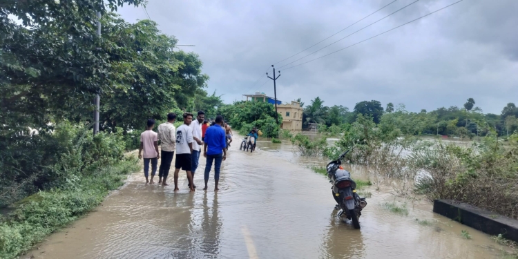 Odisha Southern Districts Flood