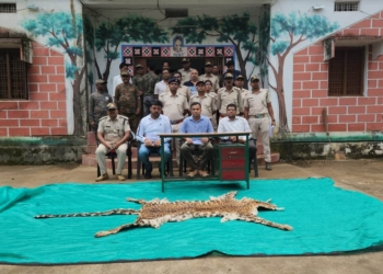 Leopard skin seizure Koraput