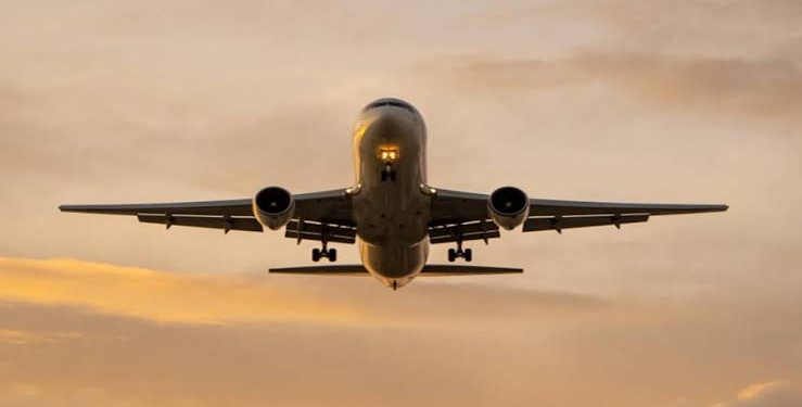 Domestic Air Passenger