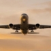 Domestic Air Passenger