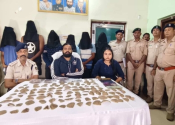 Malkangiri pangolin scales seizure