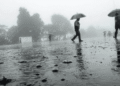Odisha Rain Alert: State records 25% excess rainfall; IMD warns of more rain in September