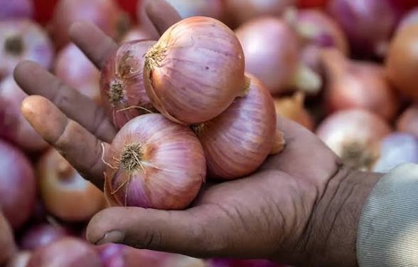 Onion